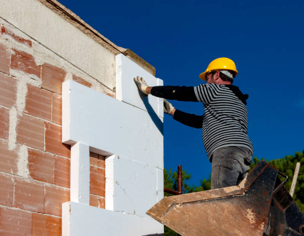 Best Insulation Contractors for Homes  in Edinburg, TX