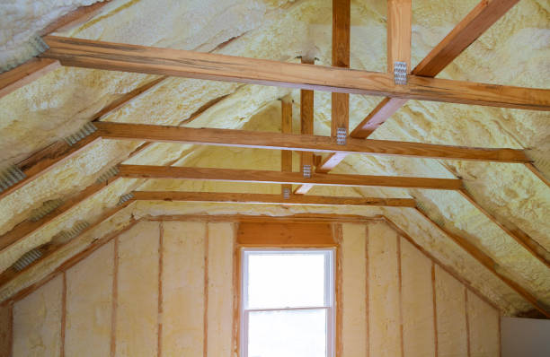 Best Insulation Contractor Near Me  in Edinburg, TX