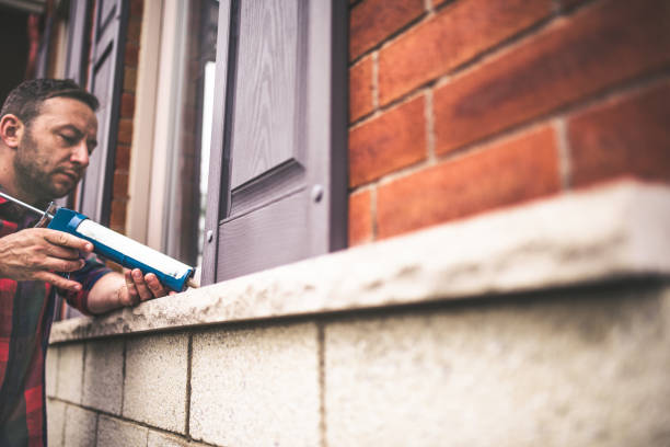 Best Professional Insulation Contractor  in Edinburg, TX