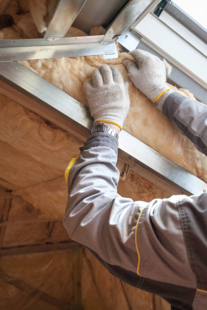 Best Insulation Replacement Services  in Edinburg, TX