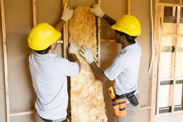 Best Insulation Installation Cost  in Edinburg, TX